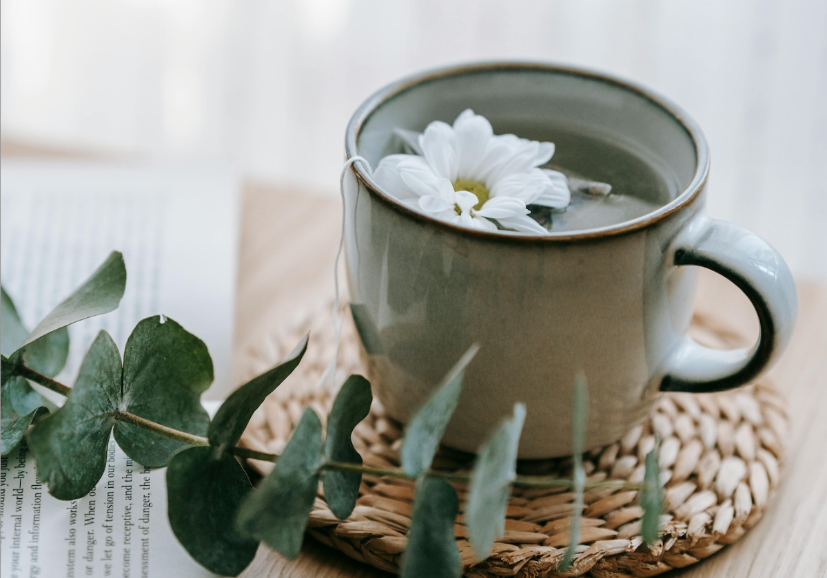 DetoxMaxx: 21-Day Holistic Detox Program for Revitalization and Wellness